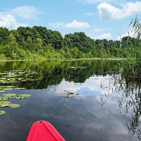 Awesome In Wustrow With Sauna Wustrow (Mecklenburg-Strelitz)
